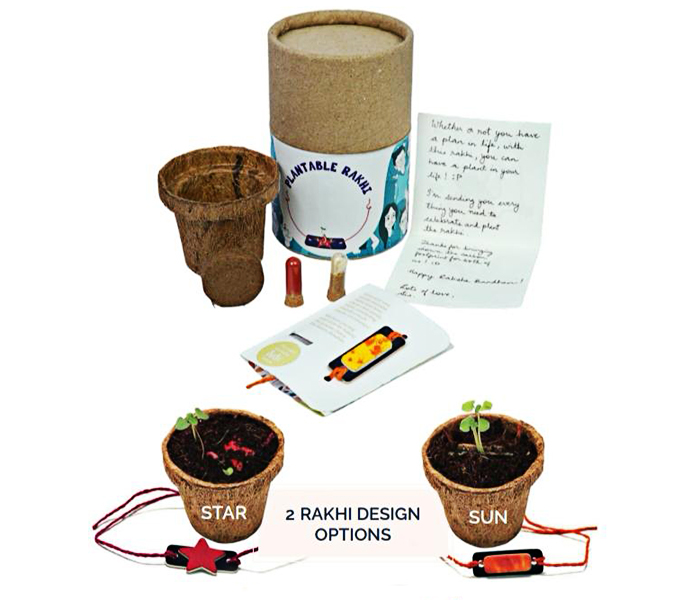 Plantable Eco-Friendly Seeds Rakhi Kit 