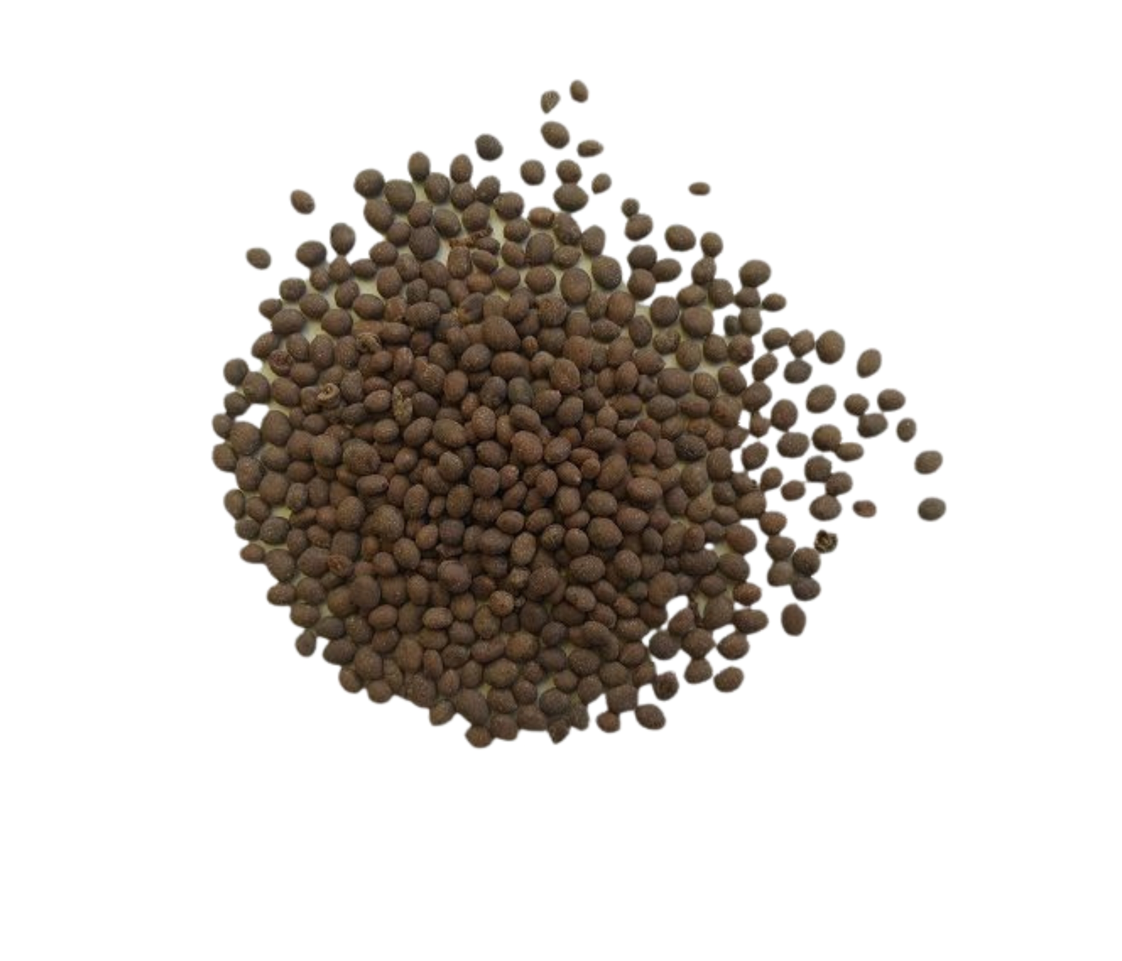 antirrhinum-palette-seeds-per-package-1000-pcs
